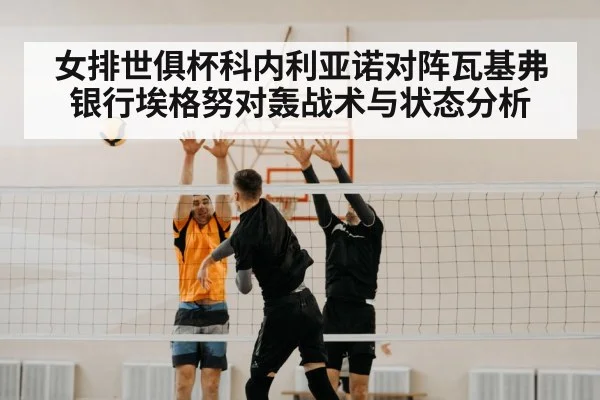 volleyball net block